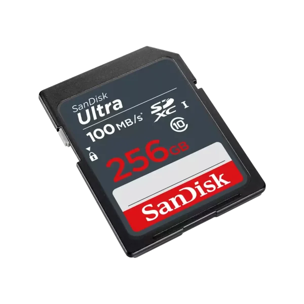sd-cl10-256gb-2 SD Cl10: 256GB